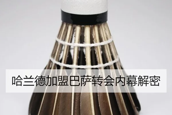 哈兰德加盟巴萨转会内幕解密